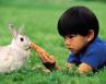 Psychologie de l’enfant : pourquoi les tout-petits sont-ils fascinés par les animaux ?