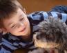  Psychologie de l’enfant : pourquoi réclame-t-il un animal de compagnie et comment réagir ?