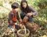 Activités pour les enfants : cueillettes d’automne et recettes à faire en famille