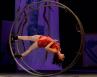 Art et spectacle : les nouveaux cirques !