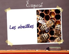 Expose_abeilles
